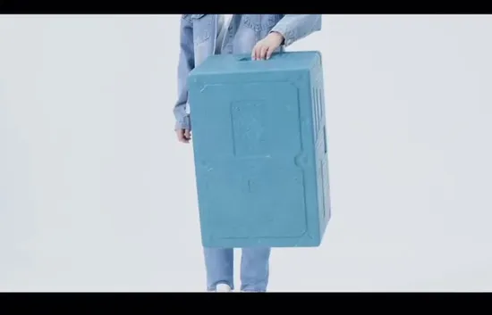Insulated Waterproof EPP Foam Cooler Box for Food
