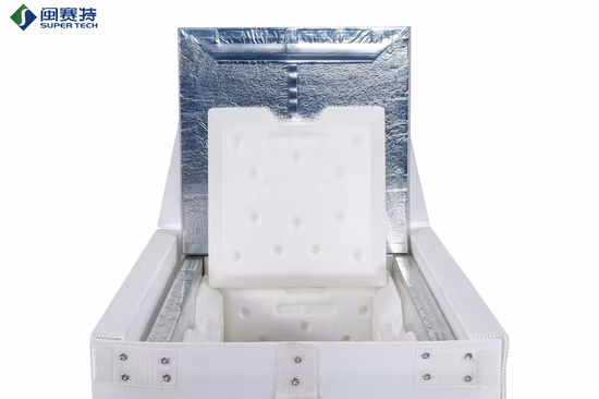 Caja enfriadora de espuma con paneles aislados VIP de PU ligera de EPP para almacenamiento en frío de medicamentos y vacunas Transporte de cadena de frío
